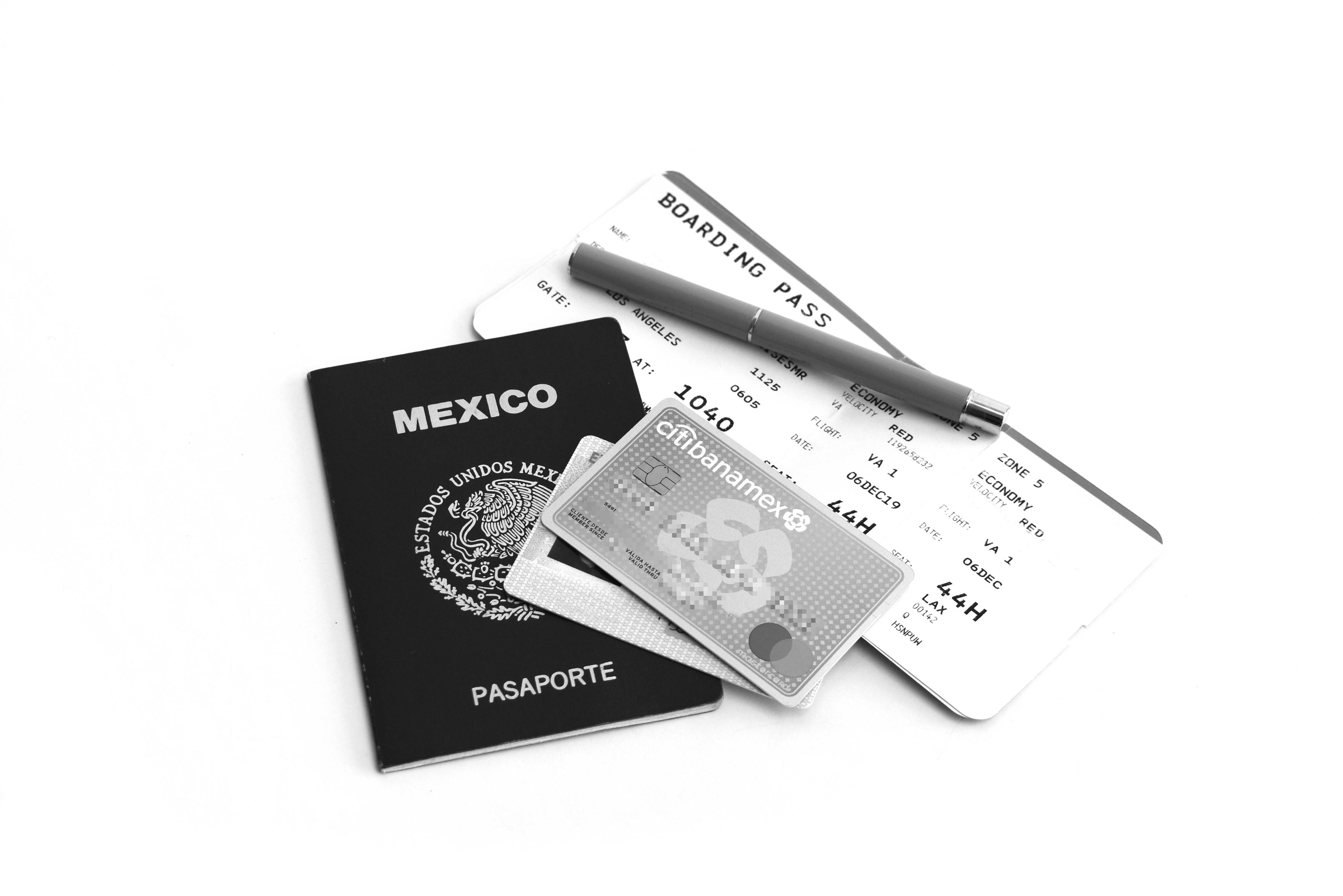 Pasaportera TRVL púrpura